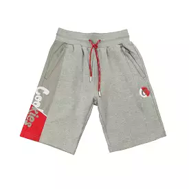 CHANGING LANES SHORTS GREY