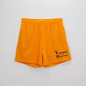 CORE MESH SHORTS GOLD