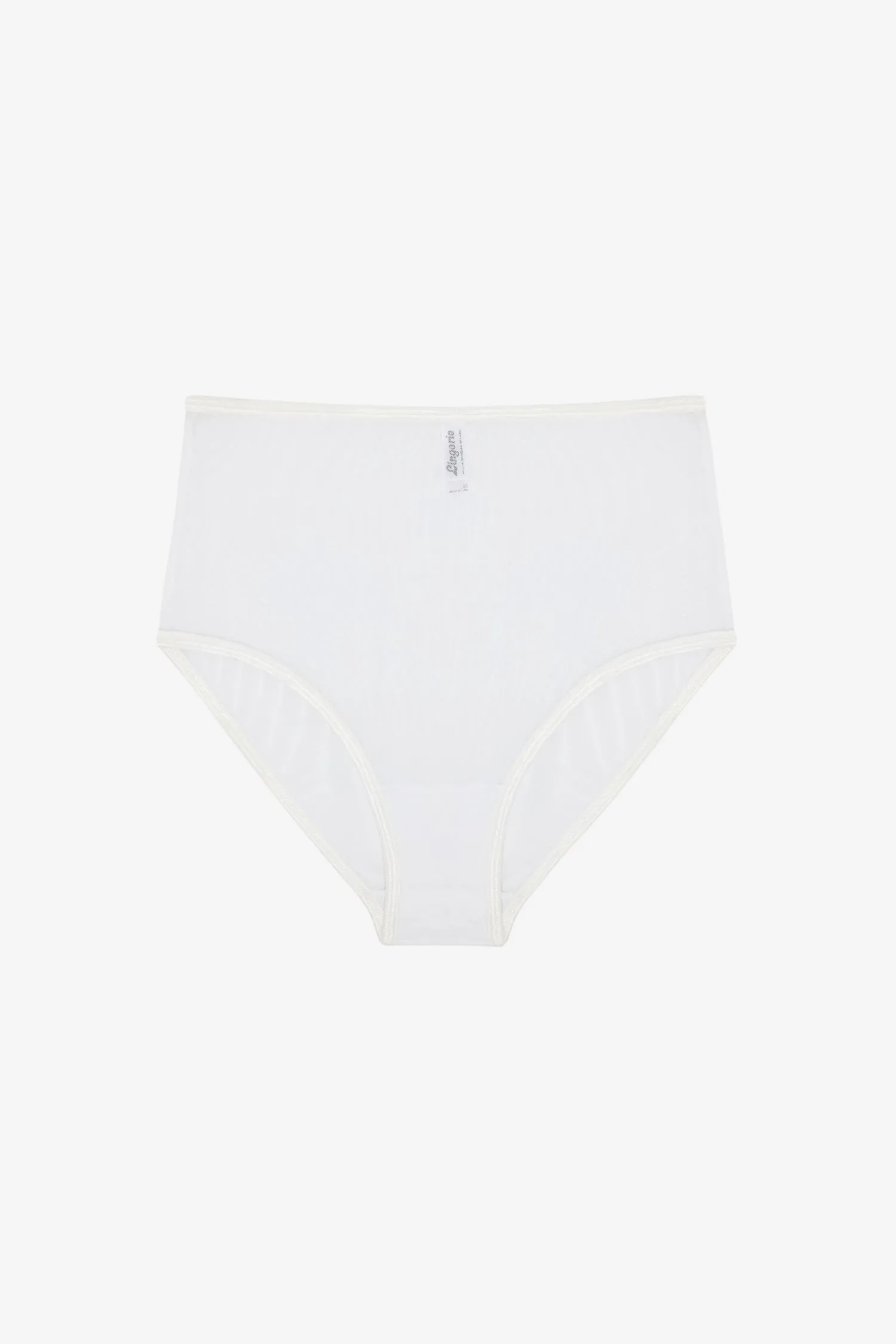 RNS99 - Micro Mesh High Waist Panty